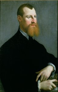 Retrato, de, um, homem, com, um, barba gengibre, 16º século
